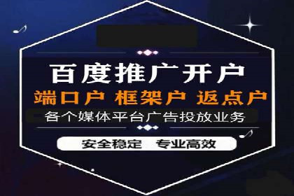 案例研究：百度竞价广告投放效果